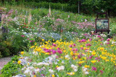 標高840ｍ 季節の花々と印象派の陶板画　ガーデンミュージアム比叡 ロテルド比叡　で　ランチコース