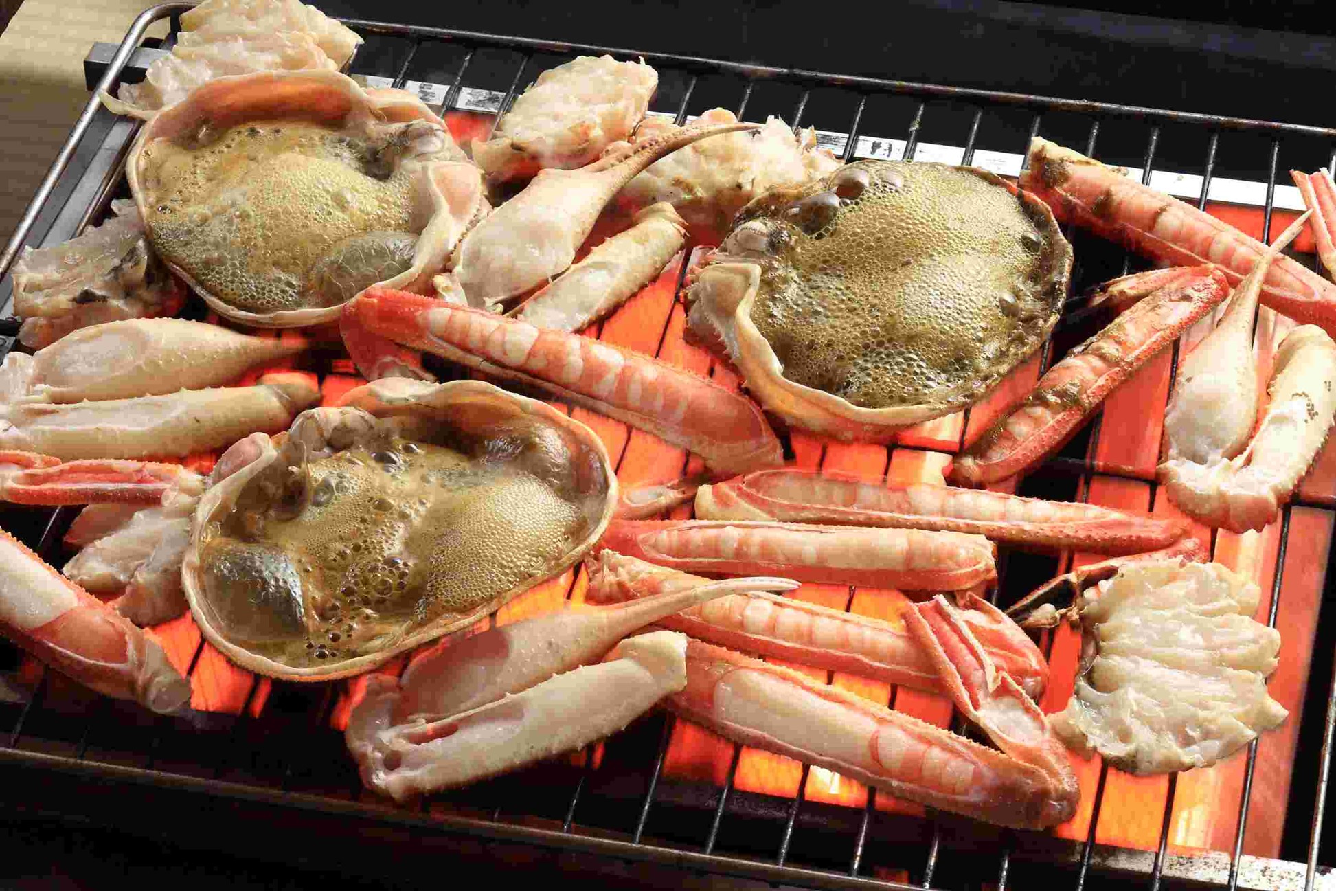 京都 丹後  で 生がに 満喫