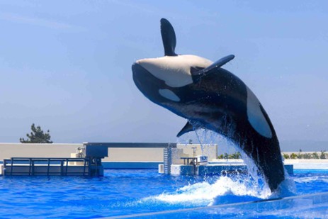 2024年開業！神戸須磨シ-ワ-ルド ＆ホテルでランチバイキング