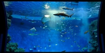 2024年開業！神戸須磨シ-ワ-ルド ＆ホテルでランチバイキング