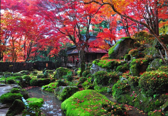 秋の滋賀たび 紅葉の教林坊 と伊藤忠兵衛記念館